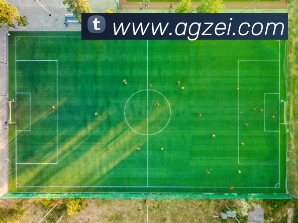 多媒体互动体验